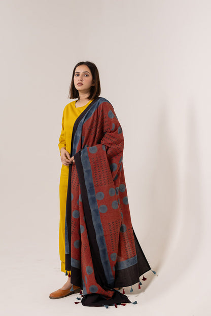 Set of 3 - Kurta, Dupatta & Pants - Earthy Echoes 01