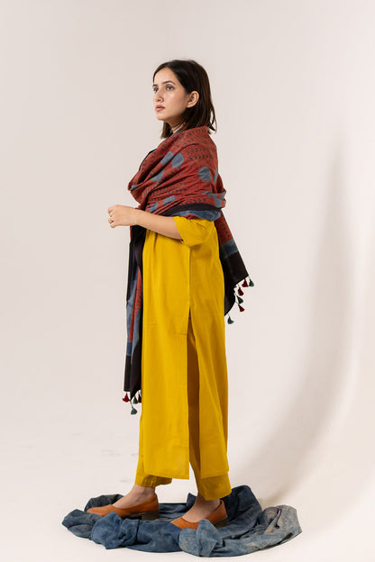 Set of 3 - Kurta, Dupatta & Pants - Earthy Echoes 01